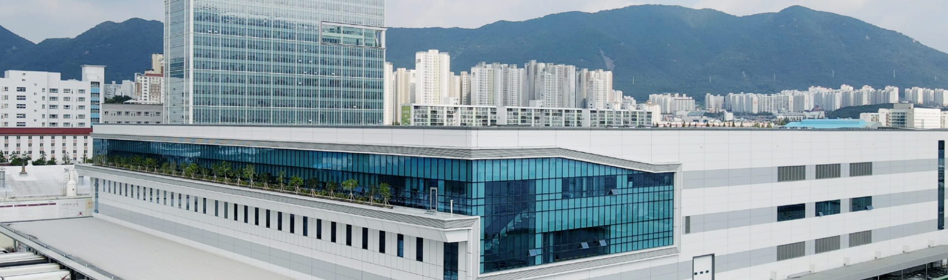 trusted-brand-lg trusted-brand-lg