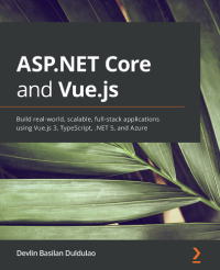null ASP.NET Core and Vue.js